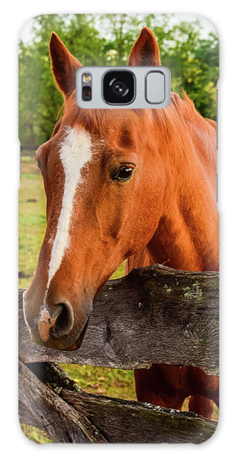 Horse Galaxy Case featuring the photograph Horse Friends by Nicole Lloyd