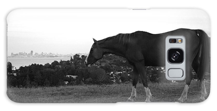 Horse Galaxy Case featuring the photograph Horse on Horse Hill by David Armentrout