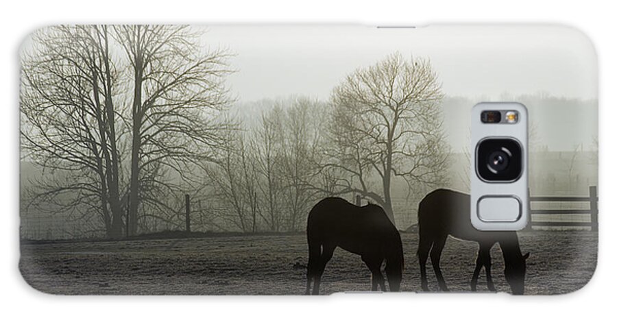 Horse Galaxy Case featuring the photograph Horses in Field by Steve Somerville