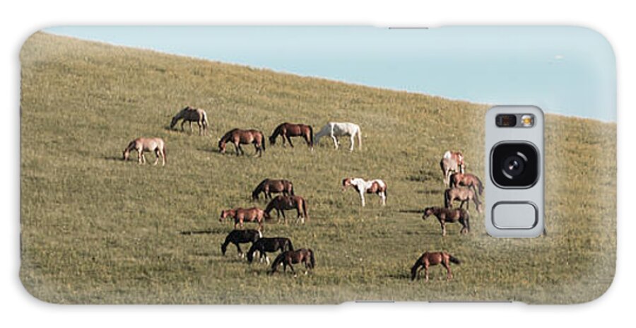 Horses Galaxy Case featuring the photograph Horses On The Hill by D K Wall