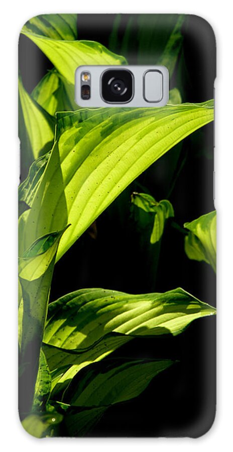 Hosta Galaxy Case featuring the photograph Hosta 561 by Brian Gryphon