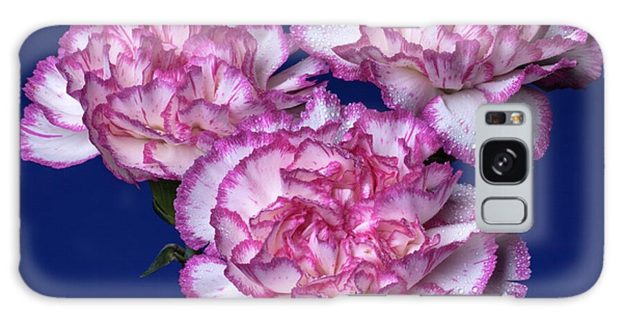 Carnations Galaxy Case featuring the photograph Trinity 1 by Doug Norkum