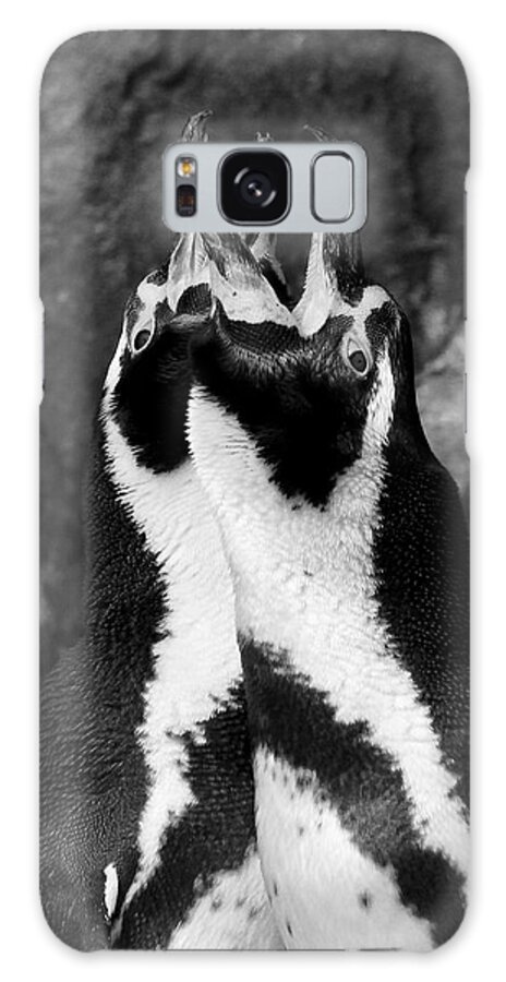 Animals Galaxy Case featuring the photograph Humboldt Penguins by Sarah Lilja