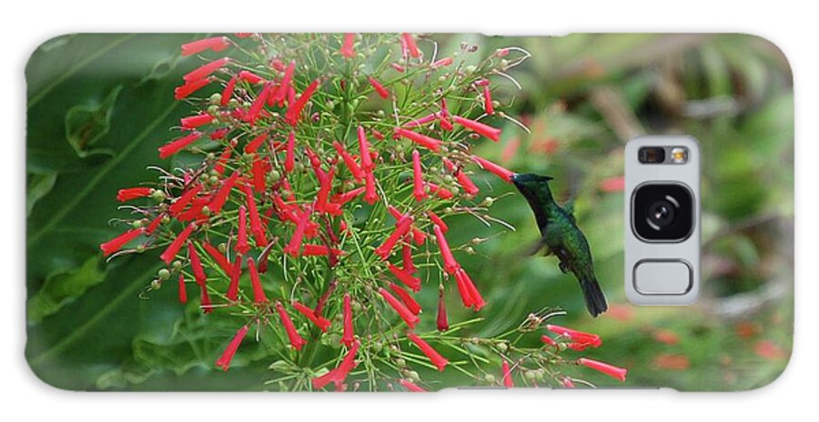 Alabama Photographer Galaxy Case featuring the digital art Humming Bird and Red Flowers by Michael Thomas