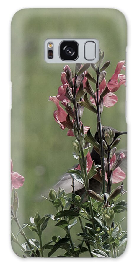 Hummingbird Galaxy S8 Case featuring the photograph Hummingbird 1 by Christy Garavetto