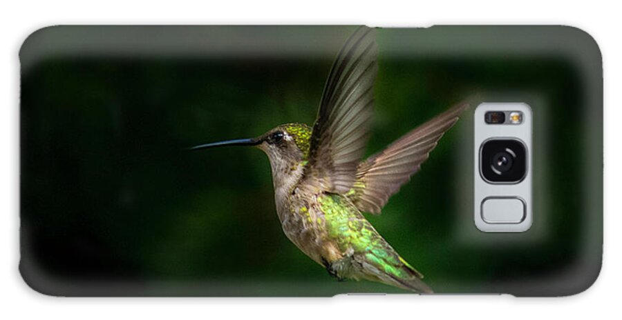 Young Ruby Throated Hummingbird Galaxy Case featuring the photograph Hummingbird b by Kenneth Cole