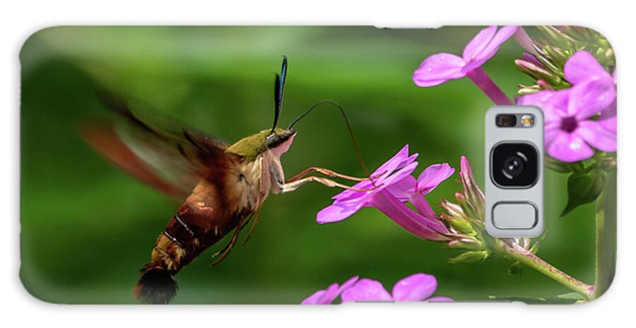 Hummingbird Galaxy Case featuring the photograph Hummingbird Clearwing Moth by Gary E Snyder