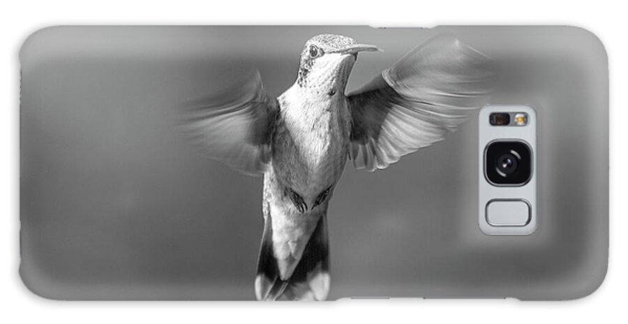 Hummingbird Galaxy Case featuring the photograph Hummingbird Flight by Betsy Knapp
