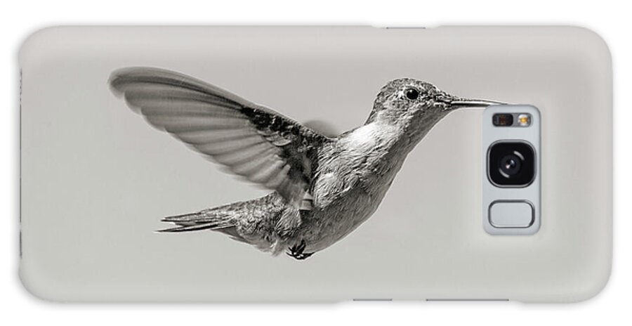 Hummingbird Galaxy Case featuring the photograph Hummingbird in Black and White by Betsy Knapp