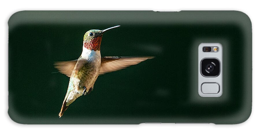 Hummingbird Galaxy Case featuring the photograph Hummingbird in Flight by Phil And Karen Rispin