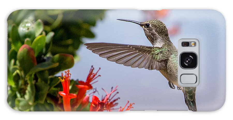 Hummingbird Galaxy Case featuring the photograph Hummingbird in the Ocotillo by Lisa Manifold
