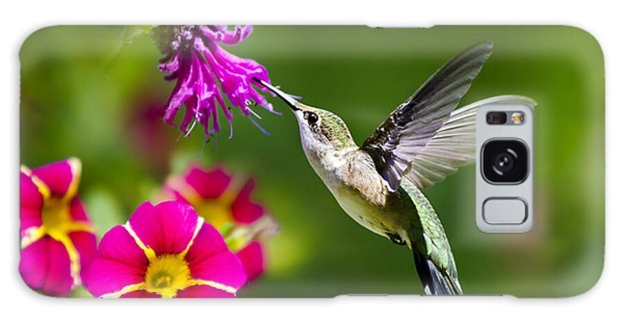 Hummingbird Galaxy Case featuring the photograph Hummingbird with Flower by Christina Rollo