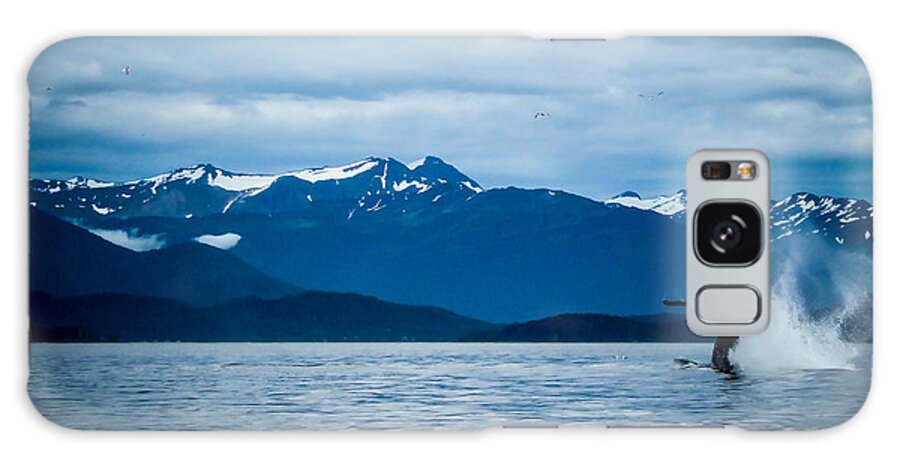 Alaska Galaxy Case featuring the photograph Humpback Dive by Pamela Newcomb