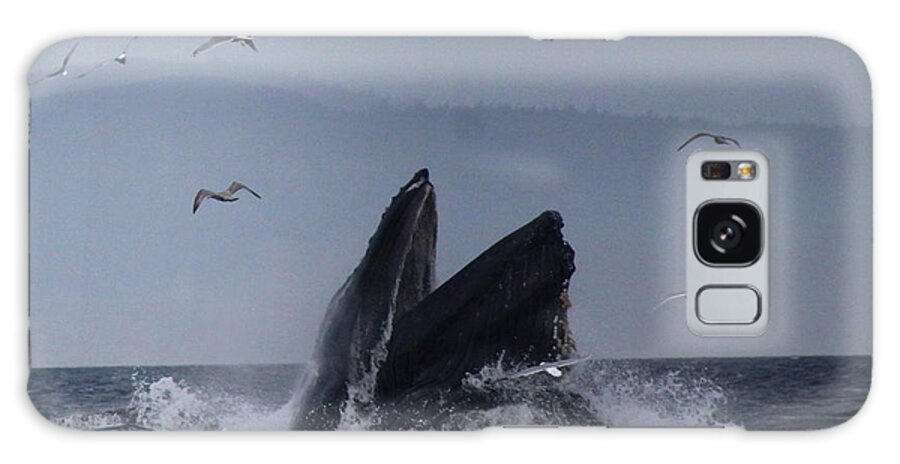 Water Galaxy Case featuring the photograph Humpback by Lennie Malvone
