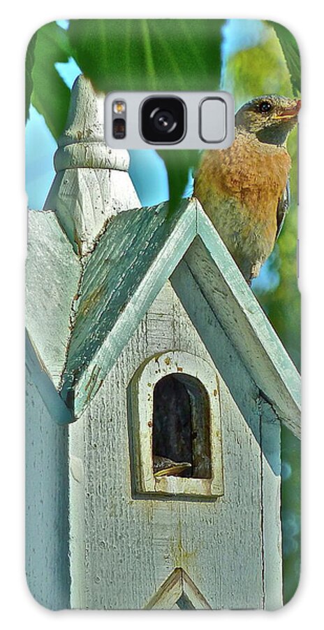 Birds Galaxy S8 Case featuring the photograph Hungry Baby by Diana Hatcher