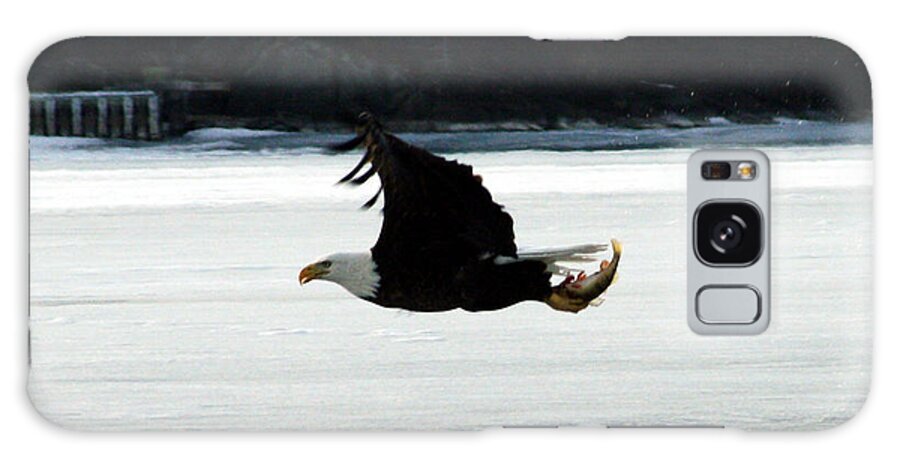 American Eagle Bird Flying Wings Fish Nature Wild Animal Galaxy S8 Case featuring the photograph Hungry Eagle by Andrea Lawrence