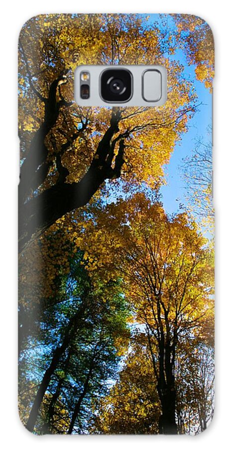  Galaxy S8 Case featuring the photograph Huntington Clearstory by Polly Castor