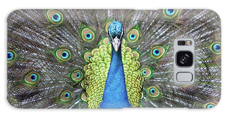 Peacock Galaxy Case featuring the photograph Hypnotic by Eilish Palmer