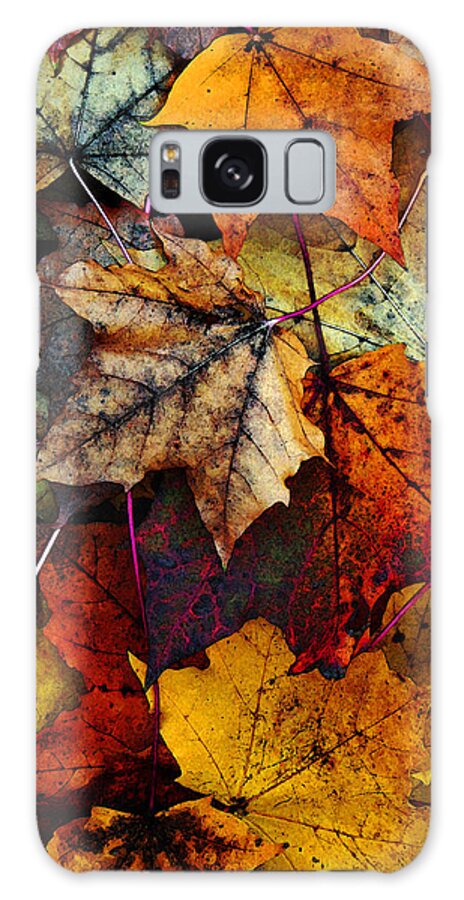 Fall Color Galaxy Case featuring the photograph I Love Fall 2 by Joanne Coyle