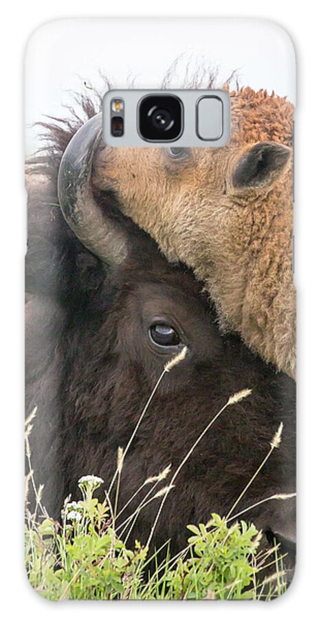 Bison Galaxy Case featuring the photograph I Love My Mom by Jack Bell