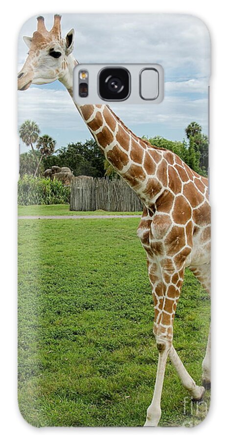 Giraffe Galaxy Case featuring the photograph I Will Follow You by Carol Bradley