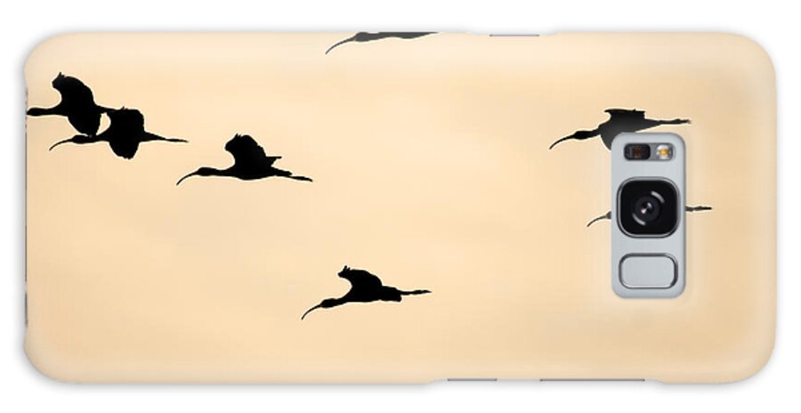 Ibis Galaxy Case featuring the photograph Ibis in the Skies by Ruth Jolly