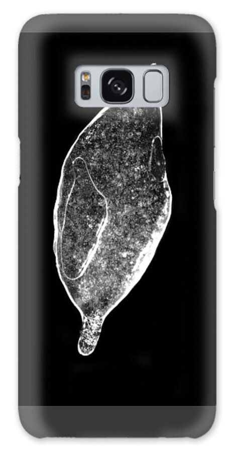 Canon T3i Galaxy S8 Case featuring the photograph Ice Storm Leaf by Ben Shields