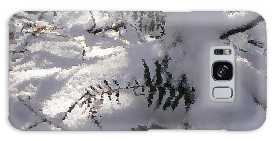 Winter Galaxy Case featuring the photograph Icy Fern by Nicole Angell