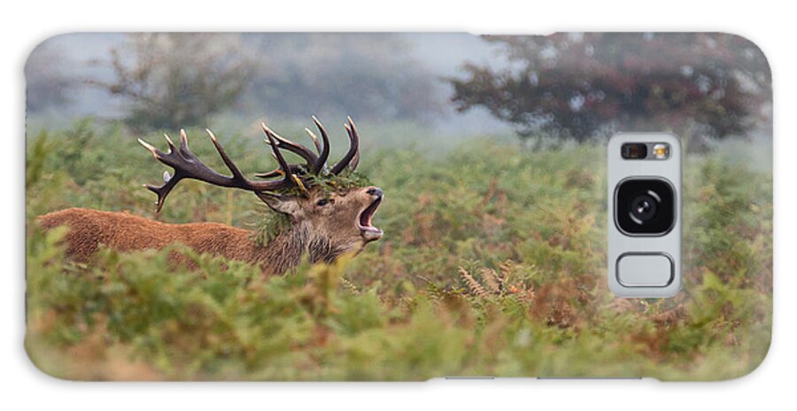 Red Galaxy Case featuring the photograph If I shout loud enough by Nigel Jones