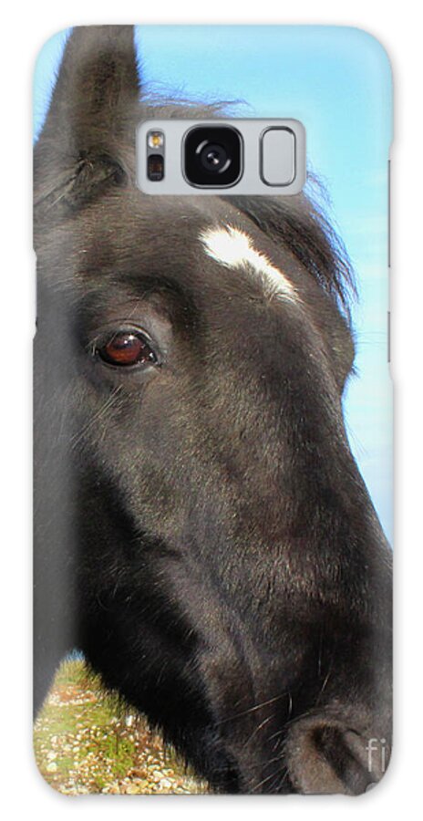 Horse Galaxy Case featuring the photograph Horsey Donegal by Eddie Barron