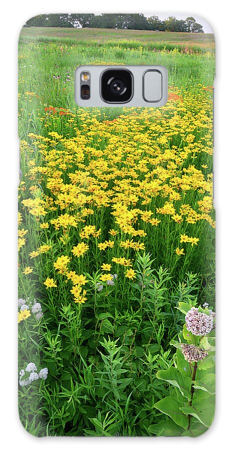 Illinois Galaxy Case featuring the photograph Illinois Prairie Wildflowers by Ray Mathis
