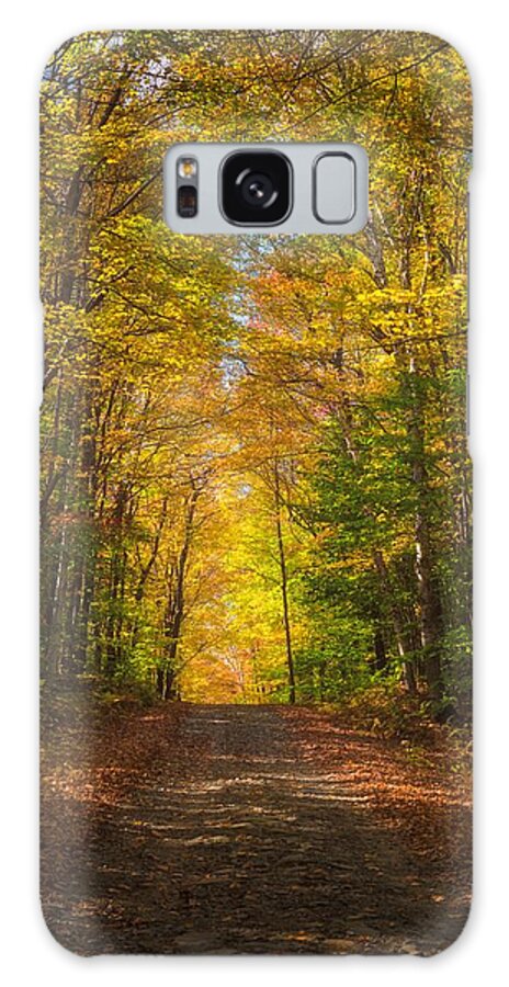 Fall Galaxy S8 Case featuring the photograph Illumined by Kim Carpentier