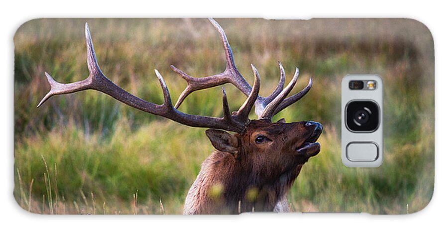 Elk Galaxy Case featuring the photograph I'm talking to you. by Darren White