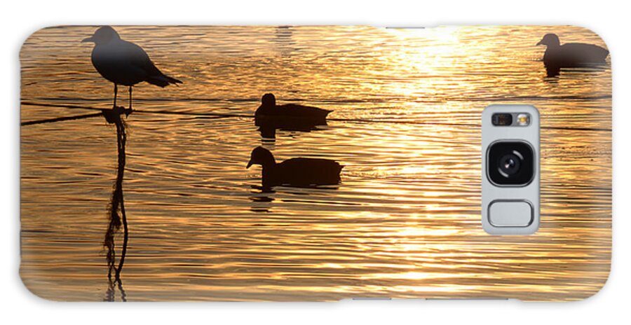 Beautiful Galaxy Case featuring the photograph In the golden pool by Arik Baltinester