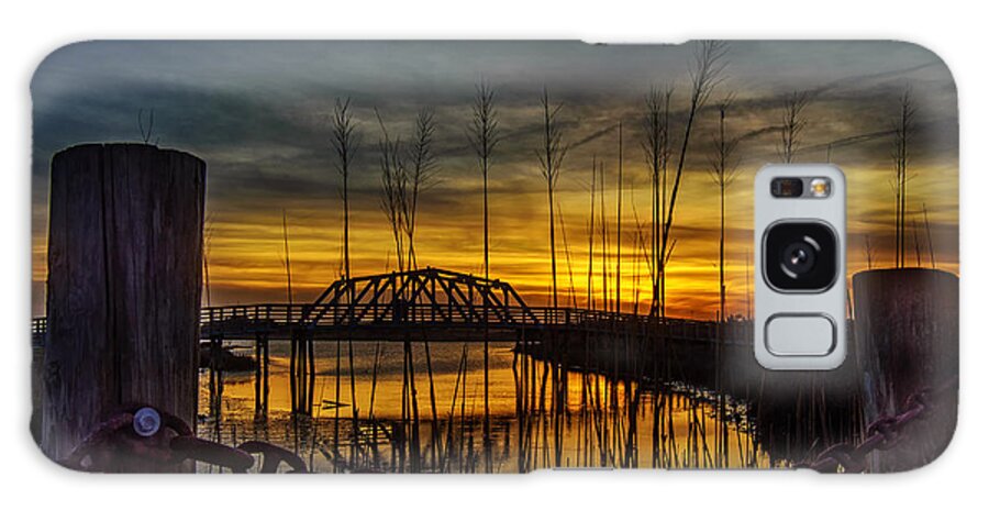 Sunrise Galaxy Case featuring the photograph In the Reeds by DJA Images