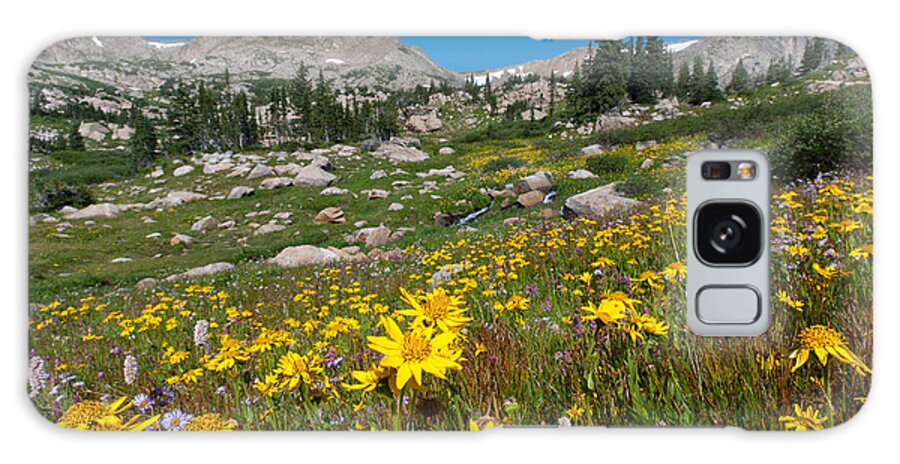 Indian Peaks Wilderness Area Galaxy Case featuring the photograph Indian Peaks Summer Wildflowers by Cascade Colors