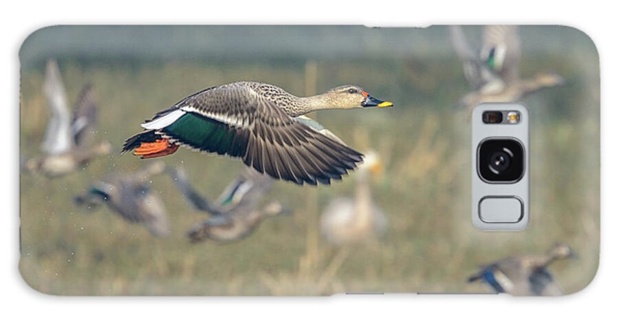 Bird Galaxy S8 Case featuring the photograph Indian Spot-billed Duck 01 by Werner Padarin