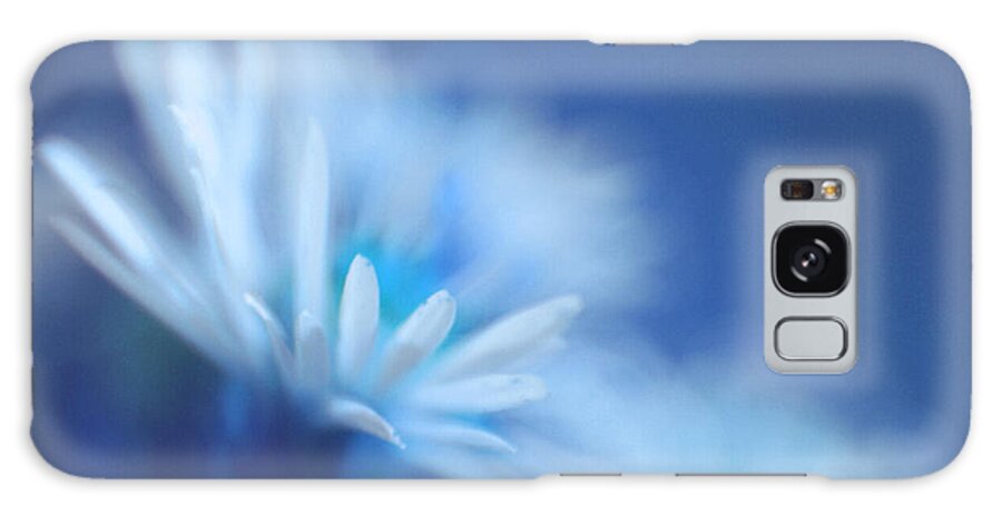 Daisy Galaxy Case featuring the photograph Innocence 11b by Variance Collections