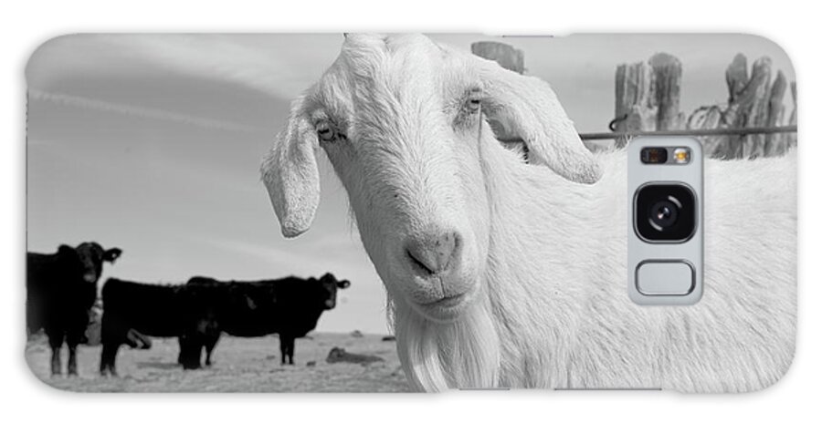 Inquisitive Goat Galaxy Case featuring the photograph Inquisitive Goat by Lora Louise