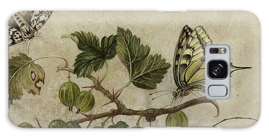Maria Galaxy Case featuring the painting Insects and Butterfly by Maria Sibylla Merian