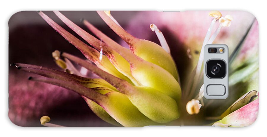Flowers Galaxy Case featuring the photograph Inside the Flower 2 by Wendy Carrington