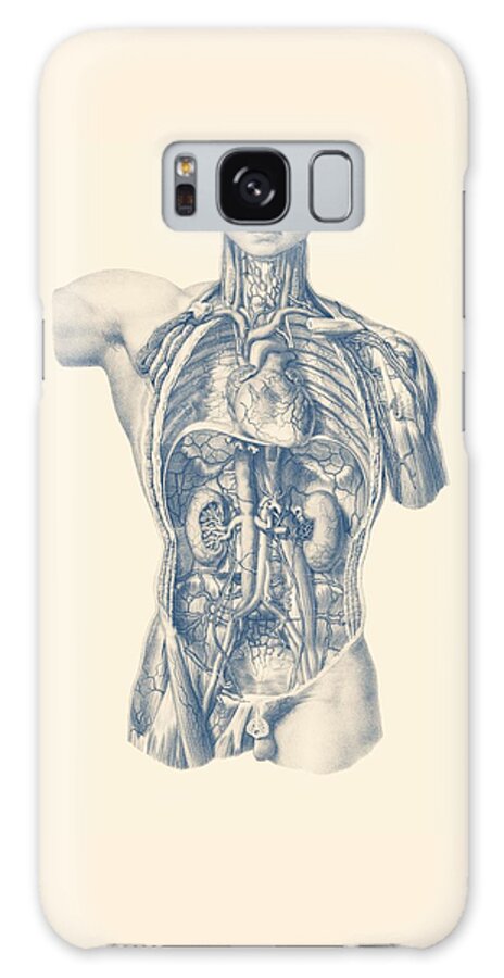 Circulatory System Galaxy Case featuring the drawing Interior Venous and Circulatory Systems - Vintage Anatomy by Vintage Anatomy Prints