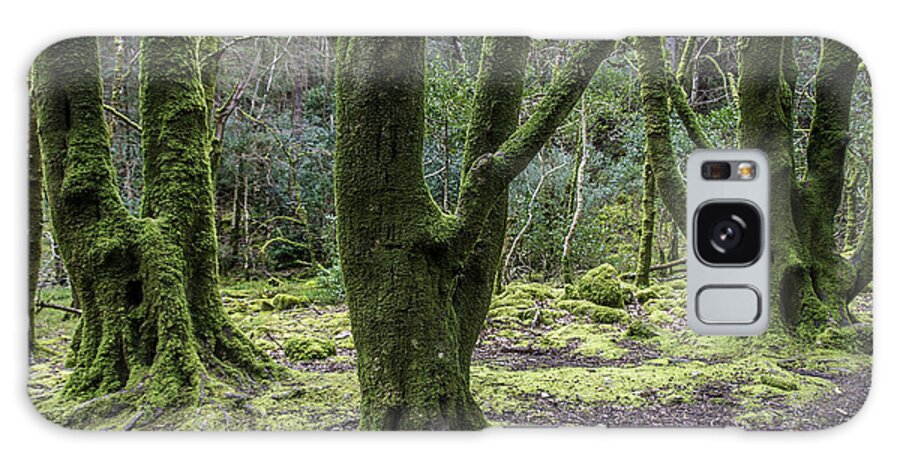 Original Galaxy Case featuring the photograph Into the Irish woods by WAZgriffin Digital