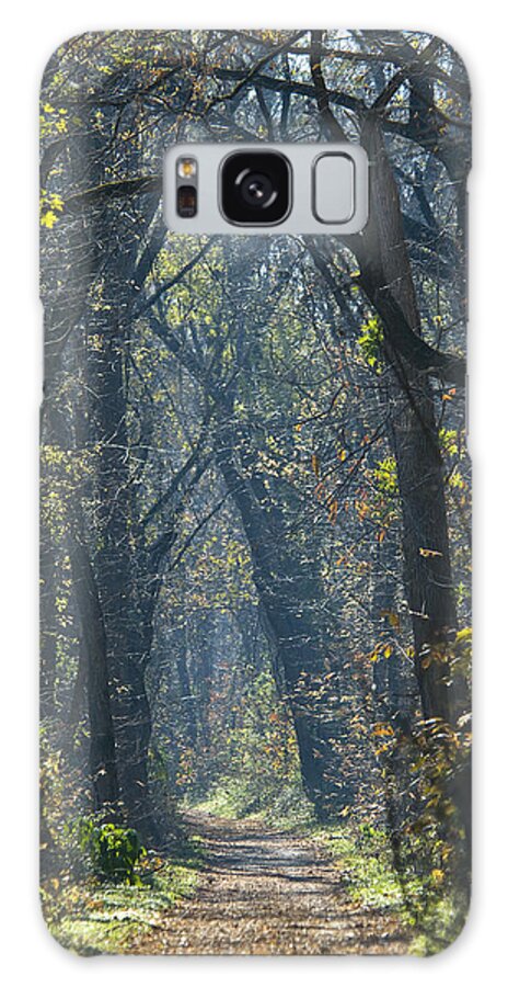 American Galaxy Case featuring the photograph Into The Wood by Brian Green