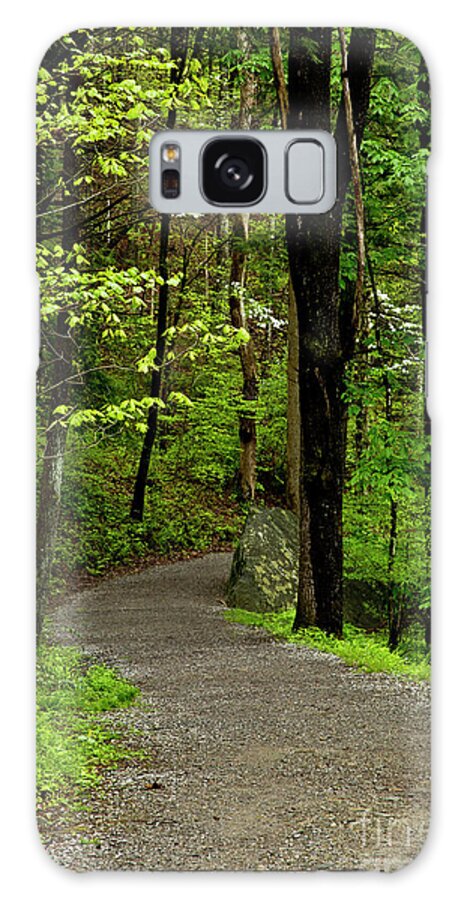 Paths Galaxy Case featuring the photograph Into the Woods by Kathy McClure