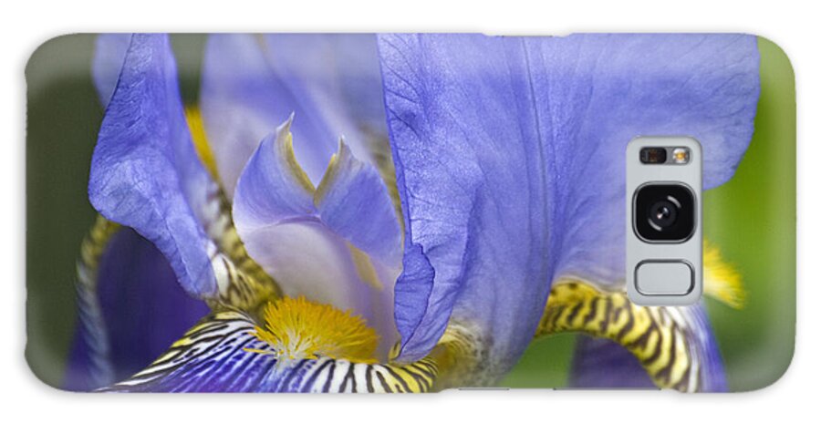 Flower Galaxy Case featuring the photograph Invitation to Blue by Alana Thrower