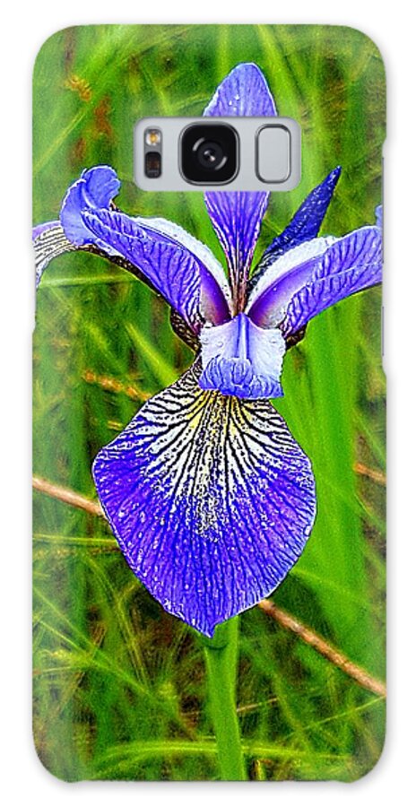 Lupins Galaxy S8 Case featuring the photograph Iris by Michael Graham