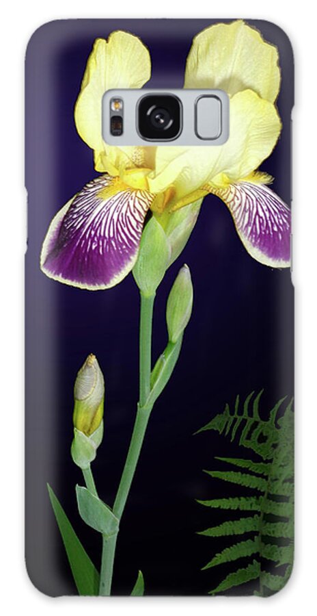 Iris Galaxy Case featuring the photograph Irises In The Night Garden by Tara Hutton