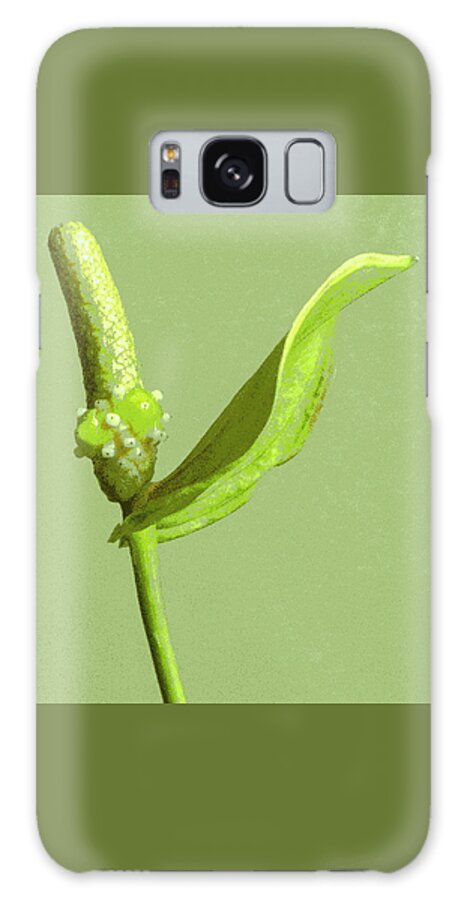 Flower Galaxy S8 Case featuring the photograph It's a Green Thing by Lori Lafargue
