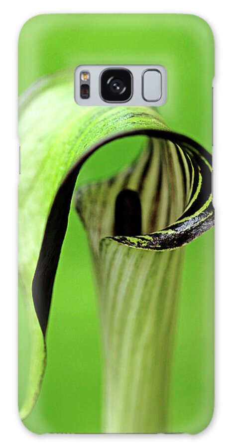 Jack In The Pulpit Galaxy S8 Case featuring the photograph Jack by Debbie Oppermann